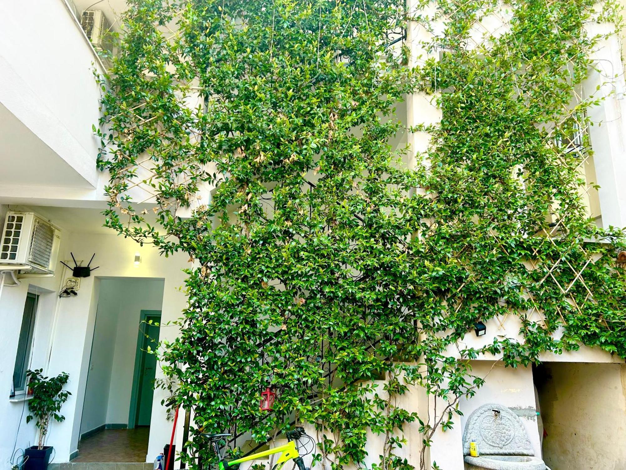 Budget Retreat Tirana & Studios Bagian luar foto